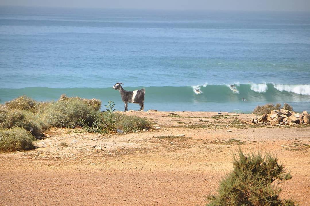 Manzili Surfhouse Hotel Tamraght ภายนอก รูปภาพ